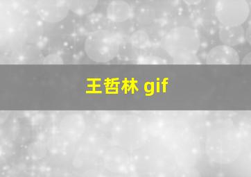 王哲林 gif